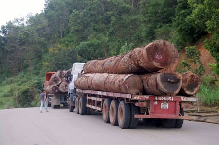 Kon Tum: Hàng trăm xe chở gỗ quá tải trên Quốc lộ 14