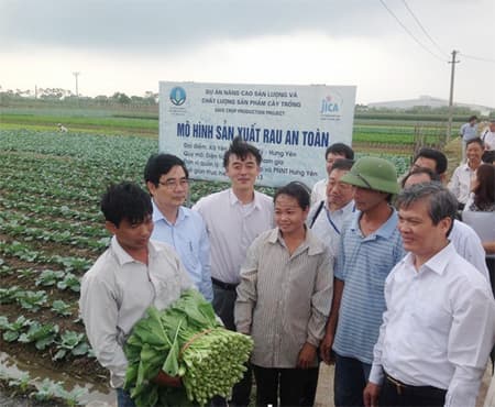 "GAP cơ bản” - Giải pháp khả thi trong sản xuất nông sản an toàn