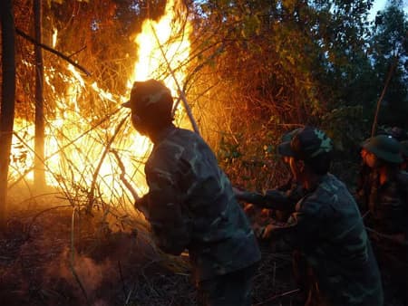 Vì dân chẳng quản gian nguy