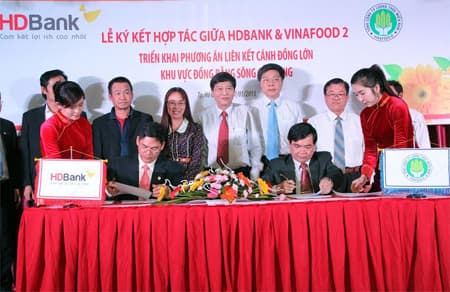 Cung cấp vốn thực hiện phương án liên kết cánh đồng mẫu lớn