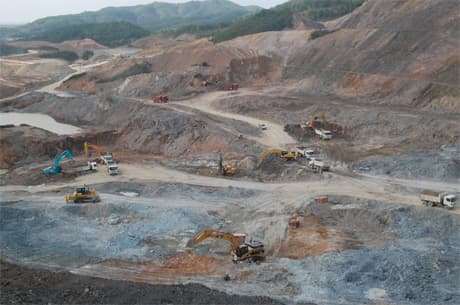 Trẻ trung 384