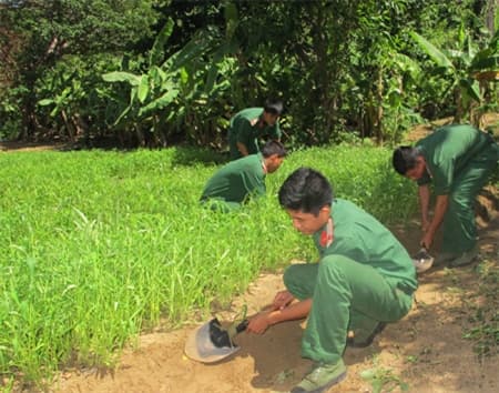 "Trốn gió" để trồng rau