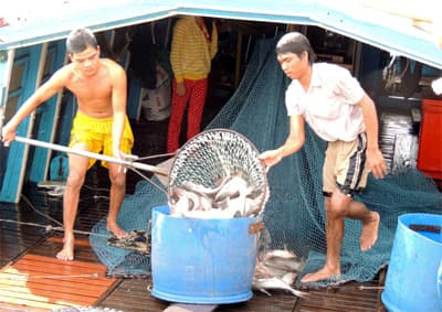 Cần xây dựng hệ thống cảnh báo sớm cho doanh nghiệp