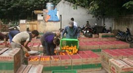 Yêu cầu các nước đăng ký xuất khẩu rau quả vào Việt Nam