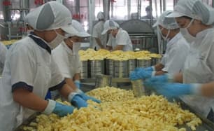 Nhận diện yếu kém của doanh nghiệp Việt Nam