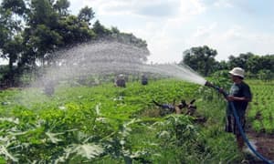 Chính phủ sẽ đề nghị Quốc hội cho phép kéo dài thời hạn giao đất, cho thuê đất nông nghiệp