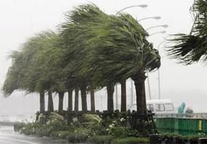 Bão giật cấp 12 hướng thẳng Ninh Thuận-Vũng Tàu