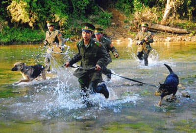 Hơn 50 chuyên án được phá trong tháng 4