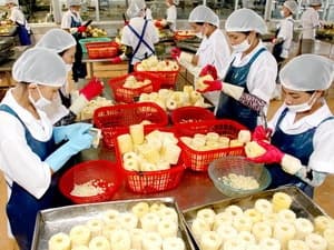 8 tháng, xuất khẩu nông lâm thủy sản ước đạt 18,1 tỷ USD
