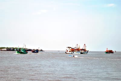 Cà Mau: Phát triển hơn 150 tàu dịch vụ hậu cần nghề cá