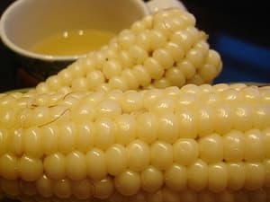 Tin đồn thất thiệt khiến cho người trồng ngô lao đao