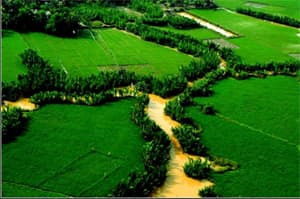 Công bố phim tài liệu lịch sử "Đồng Tháp Mười - Chiến khu bưng biền huyền thoại"