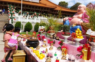 Ăn Tết ở xứ Chuột túi