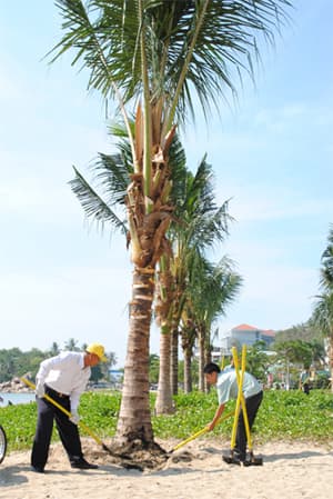 “Chung tay vì môi trường xanh - sạch - đẹp”