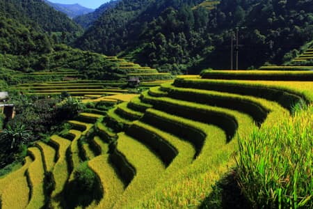 Khai mạc Tuần Văn hóa, Thể thao và Du lịch Danh thắng Quốc gia Ruộng bậc thang Mù Cang Chải 2013