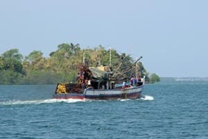 Nghị sĩ Mỹ quan ngại về những động thái của Trung Quốc tại các vùng biển tranh chấp