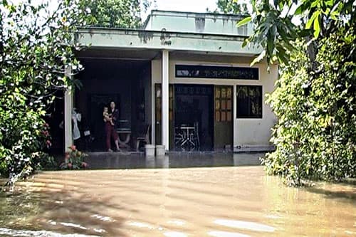 Hơn 40 đoạn đê bao bị vỡ do triều cường