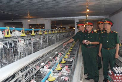 Kiểm soát chặt chẽ hoạt động chăn nuôi gia cầm tại các đơn vị quân đội