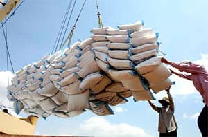 Trung Quốc cấm nhập khẩu gạo từ Việt Nam