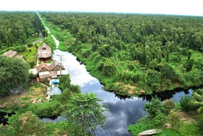 Cà Mau tạm thời đóng cửa rừng tràm U Minh Hạ