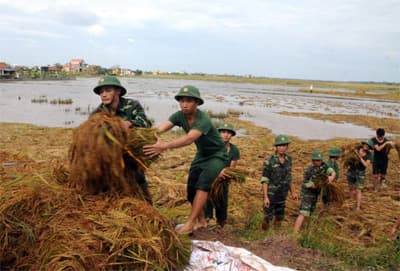 Ấm lòng dân vùng bão Giao Thuỷ