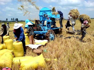 Doanh nghiệp đóng vai trò quan trọng
