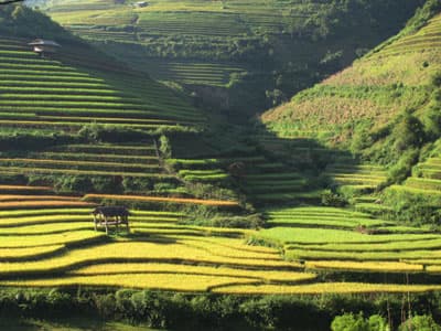 Hấp dẫn các tour du lịch mùa thu