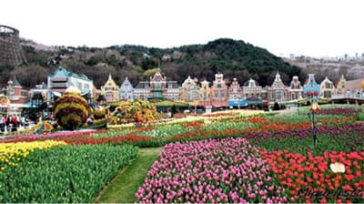 Gyeonggi mê hoặc du khách Việt