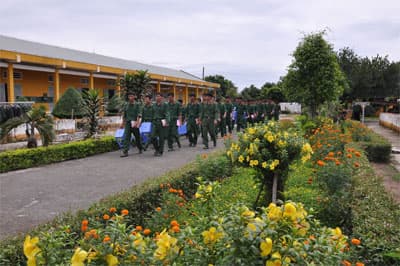 Dưới tán rừng dầu