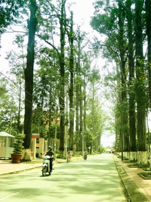 Trà Vinh: Ấn tượng một thành phố xanh