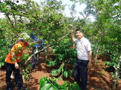 Na-cà phê  "cặp đôi hoàn hảo"