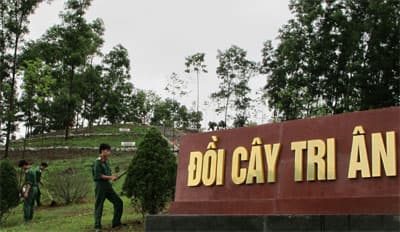 Thông điệp tri ân từ… đồi cây