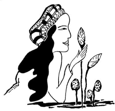 Bổ Đà