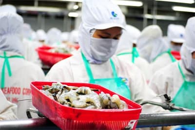 Cà Mau: Xuất khẩu thủy sản cán mốc 1 tỷ USD