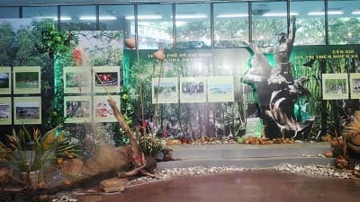 13 tỉnh, thành phố tham dự Tuần Văn hóa-Du lịch biển đảo Việt Nam-Hà Nội 2014