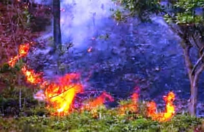 Huy động cán bộ, chiến sĩ, dân quân chữa cháy thảm thực bì núi Sơn Đào