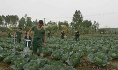 Cần kiệm, sáng tạo nuôi quân giỏi
