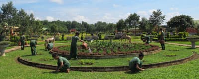 Biến đồi hoang thành "công viên xanh"