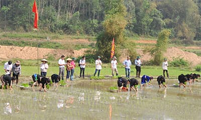 Du xuân trẩy hội Lồng Tồng