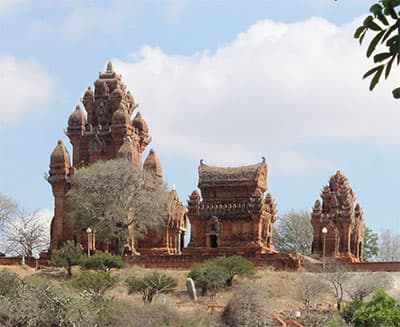 Đóa hoa bất tử trên vùng đất nắng