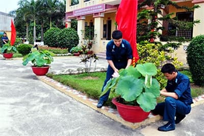 Mùa sen nở ở Tiểu đoàn Tên lửa 172