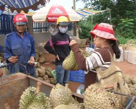 Ngăn chặn lối làm ăn gian dối