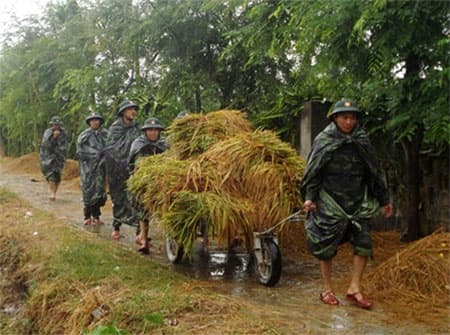 Bộ trưởng Bộ Quốc phòng biểu dương các đơn vị và chỉ đạo tiếp tục giúp nhân dân khắc phục hậu quả bão số 8