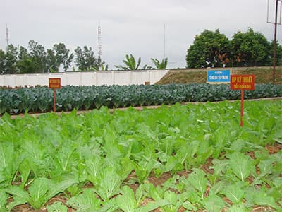 Tăng gia giỏi như “Một bảy hai”