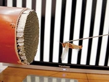 Israel phát triển robot sinh học