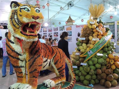 Khai mạc triển lãm các sản phẩm từ Dừa
