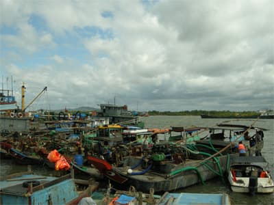 Bắt 4 tàu khai thác cát trái phép