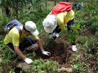 Tình nguyện viên Việt Nam - Nhật Bản trồng rừng giao lưu