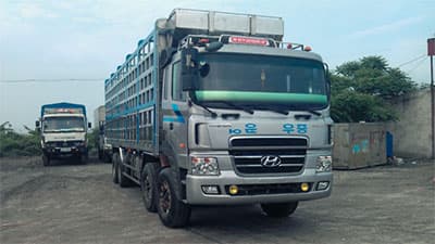 Chính sách mới có hiệu lực từ tháng 10-2012