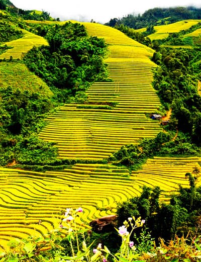 Nhiều hoạt động kỷ niệm 110 năm du lịch Sa Pa